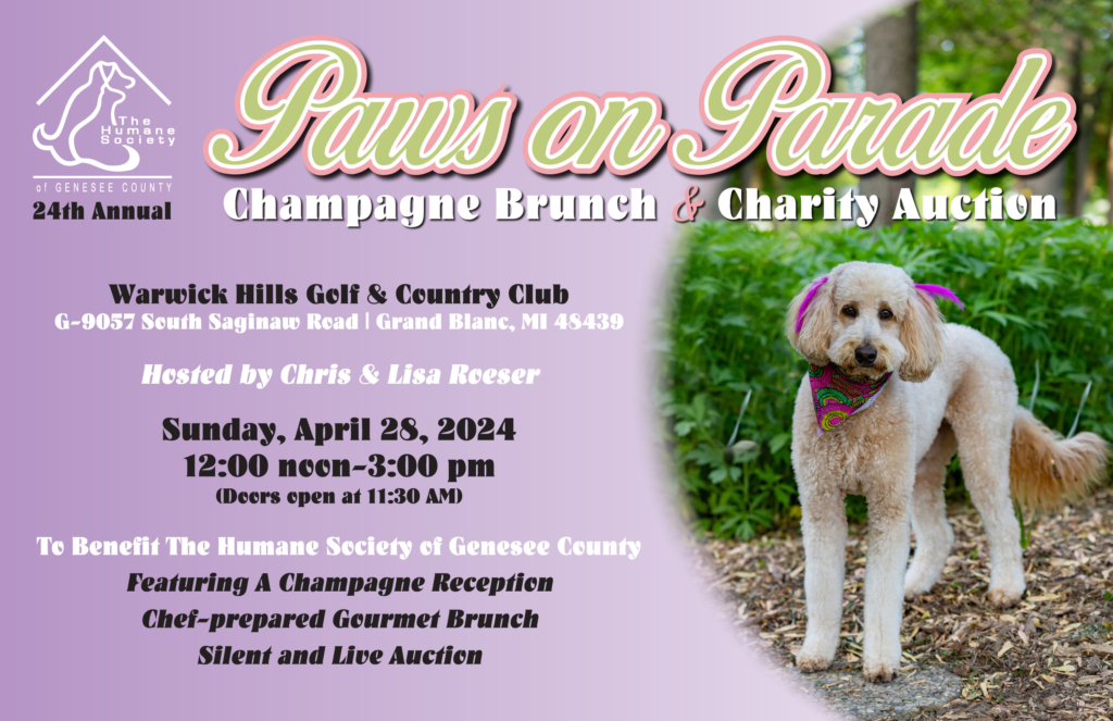 paws on parade information