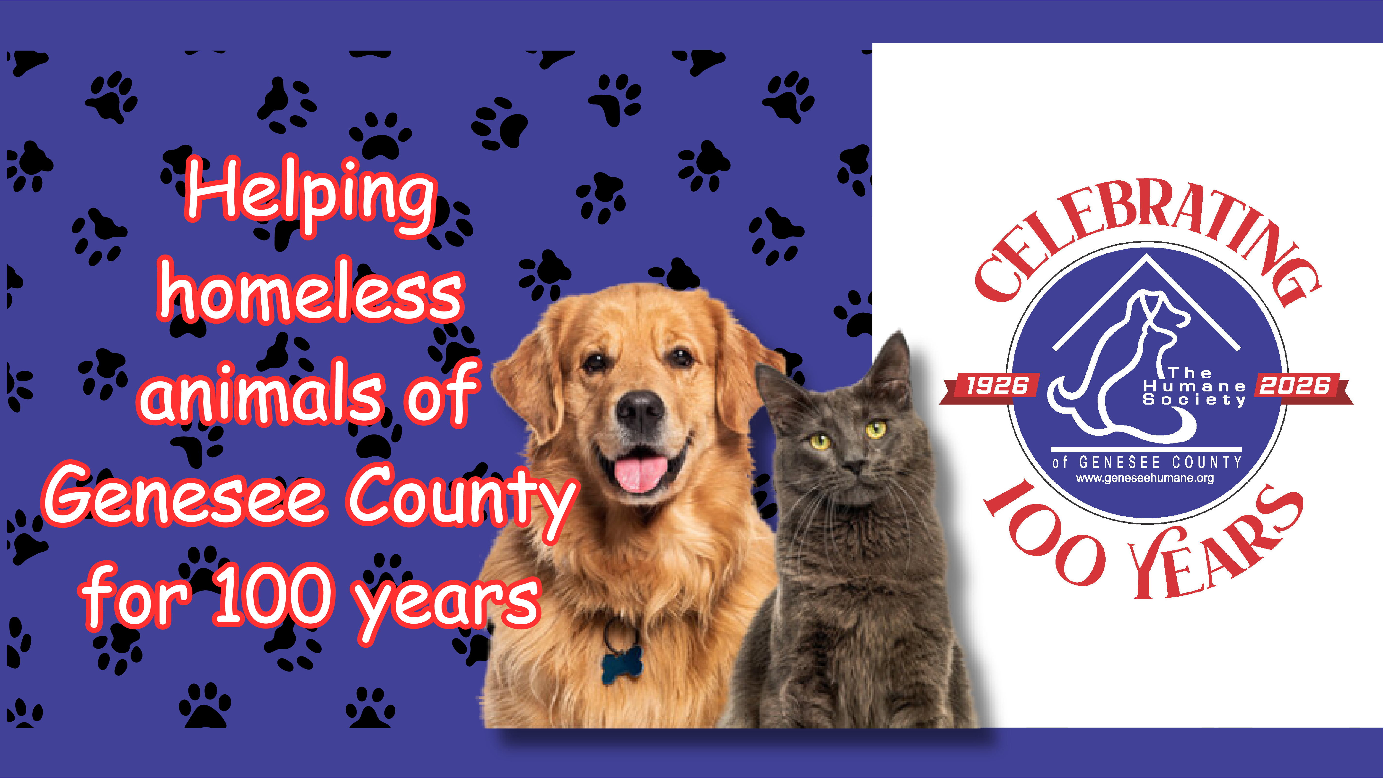 Header image of animals.