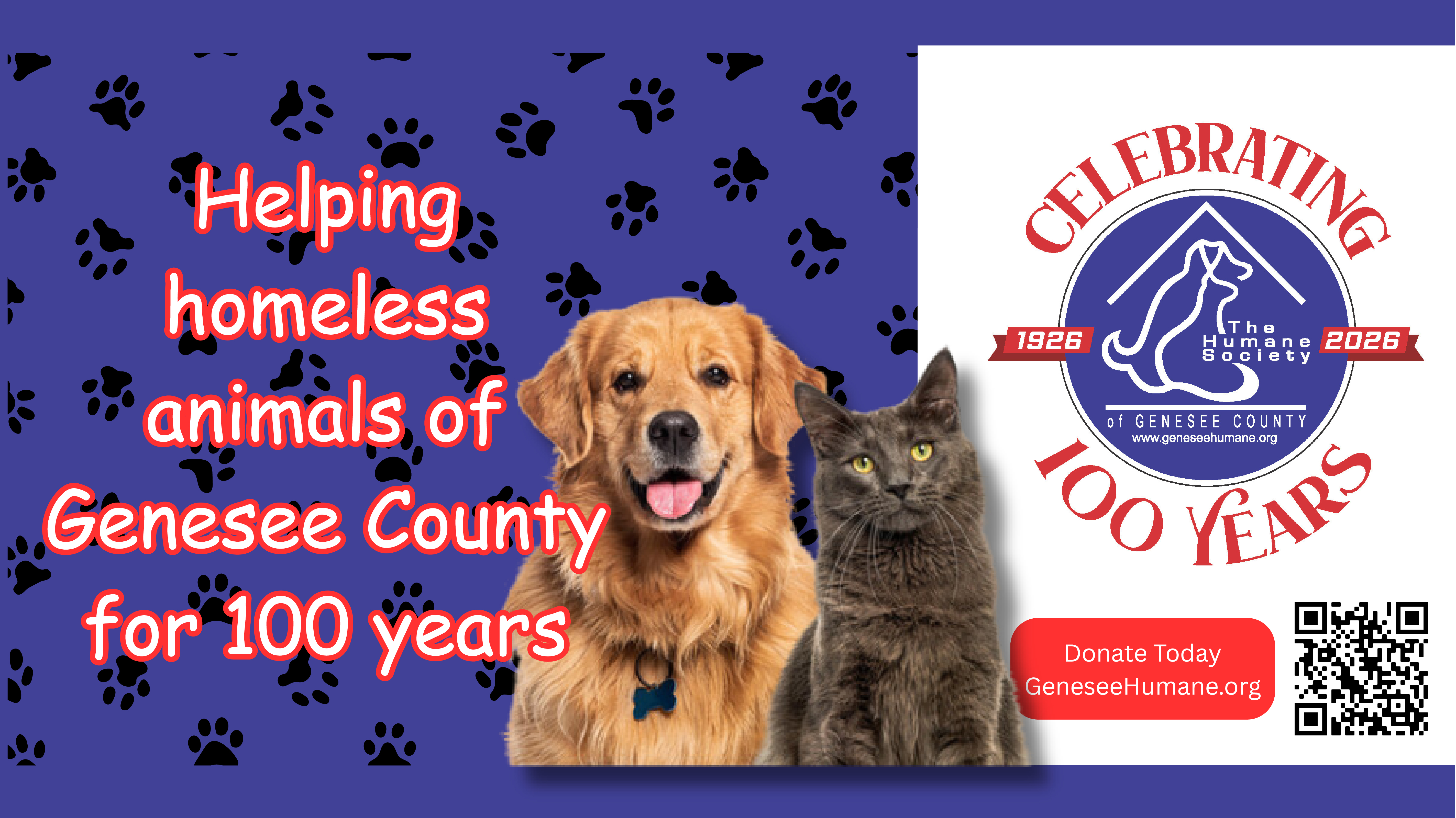 Header image of animals.